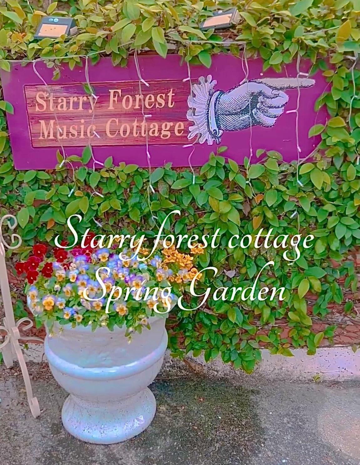 Cats,Piano & Starry Sky Resort Garden -Starry Forest Cottage Okinawa- أونا المظهر الخارجي الصورة